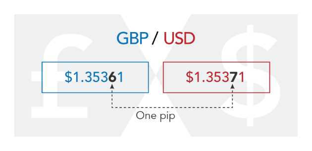 Resiko dan Perlindungan Modal dalam Trading Pip