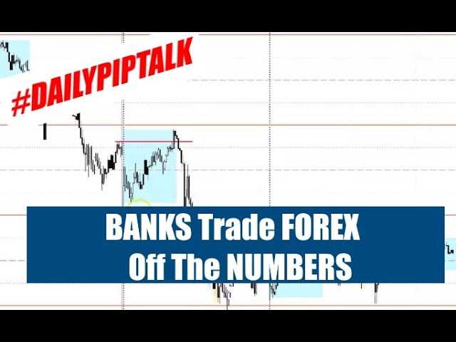 Regulasi Bank dalam Trading Forex