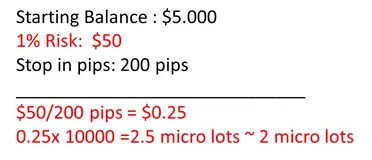 Perbedaan Antara Standard Lot, Mini Lot, dan Micro Lot