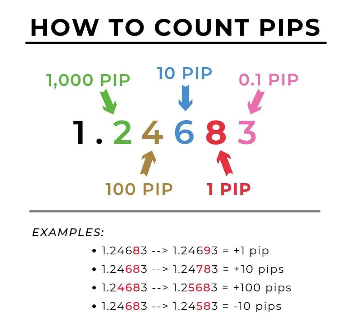 How to count pips in forex