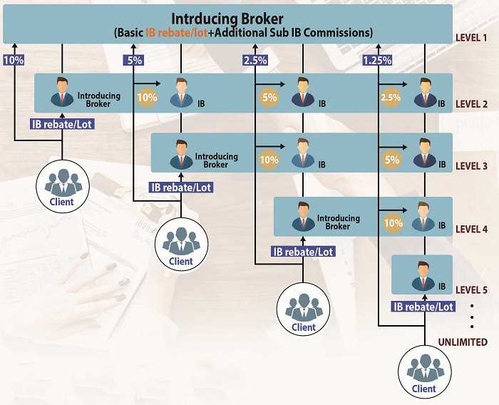 What is ib in forex