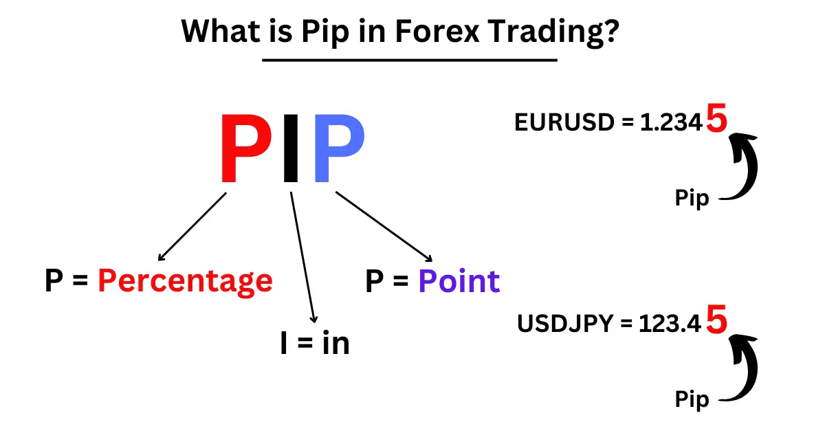 What is pip forex