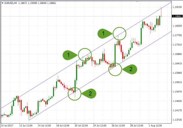 What to trade on forex