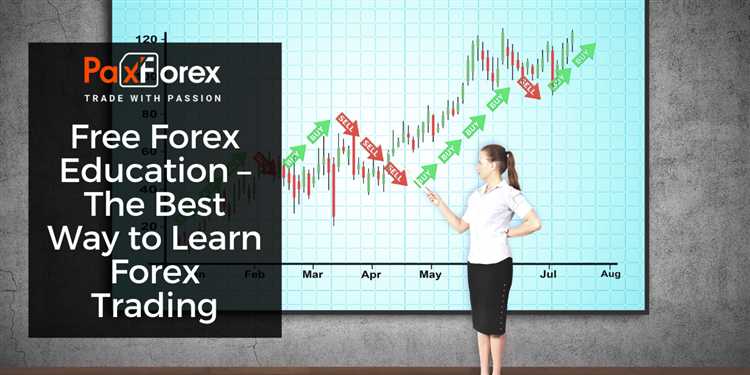 Pelatihan dan Bimbingan Trading Forex